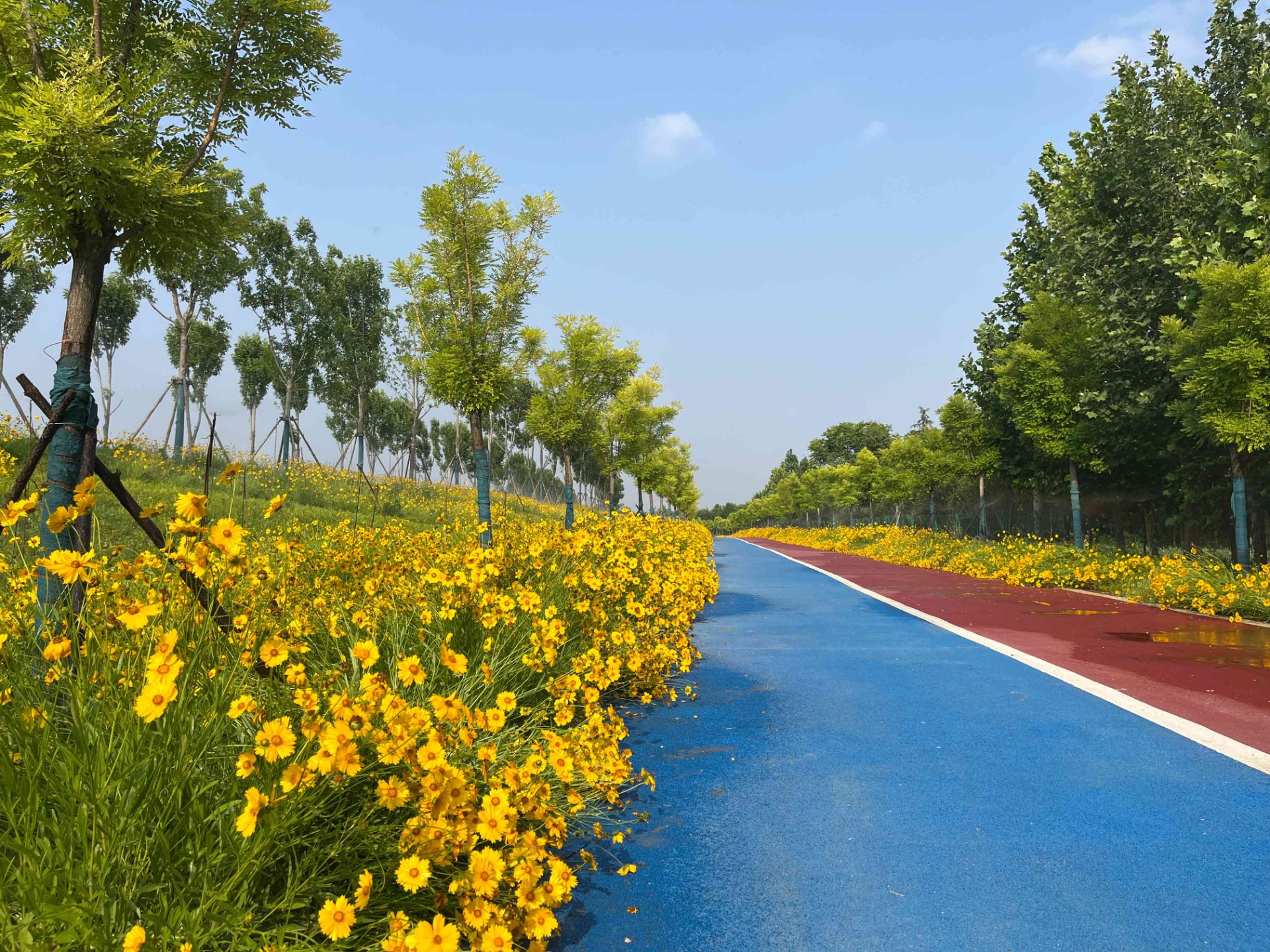 鄭州市沿黃生態(tài)廊道景觀(guān)綠化工程（鄭東新區段）EPC項目三標段